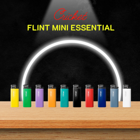 Cricket-flin-mini-esentinal